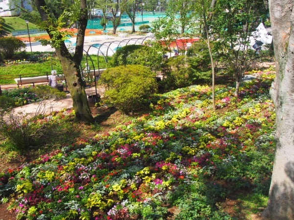 坂の途中